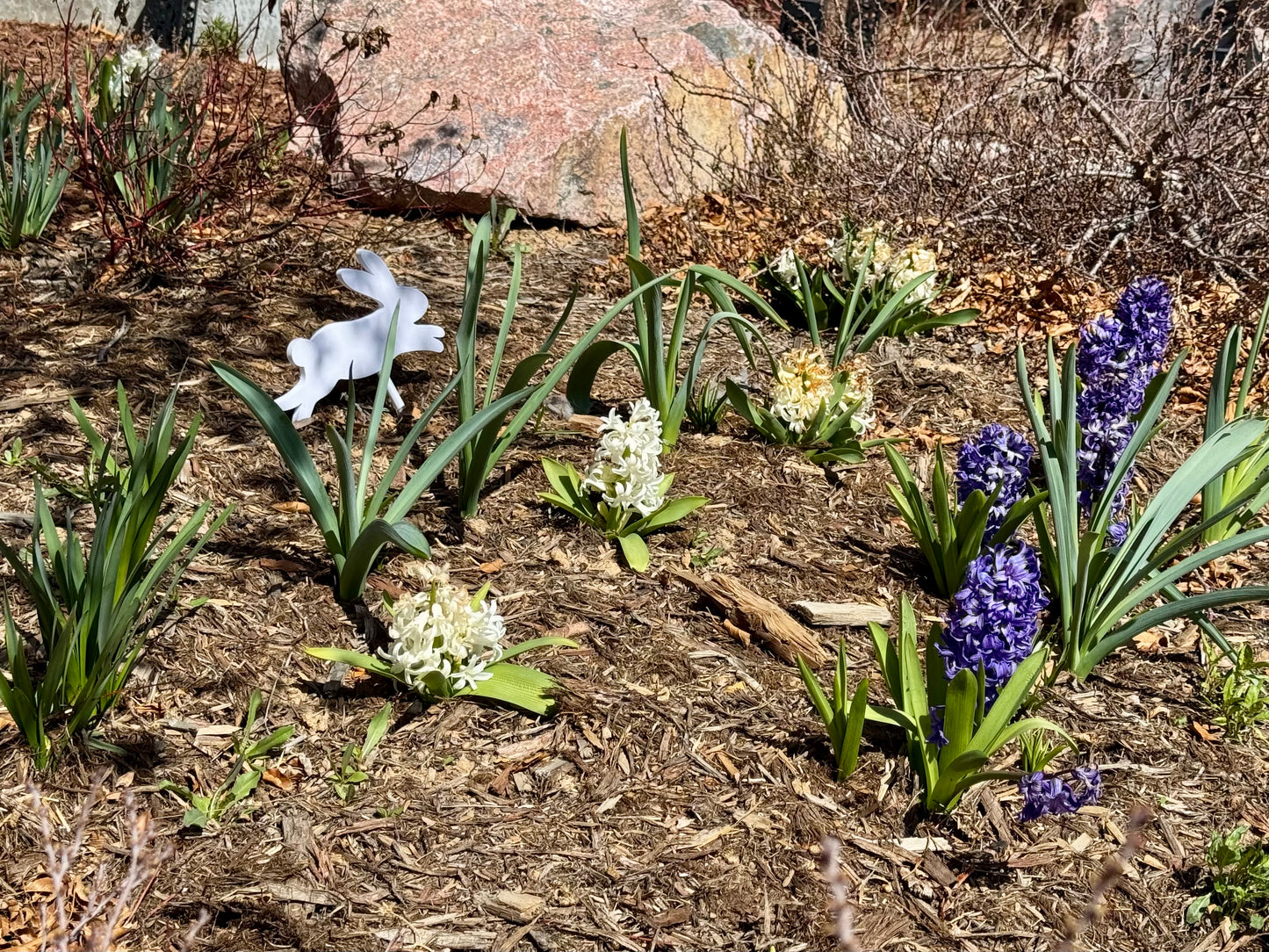 π‘ Hopping Bunny Garden Decor β Spring Yard Accent π