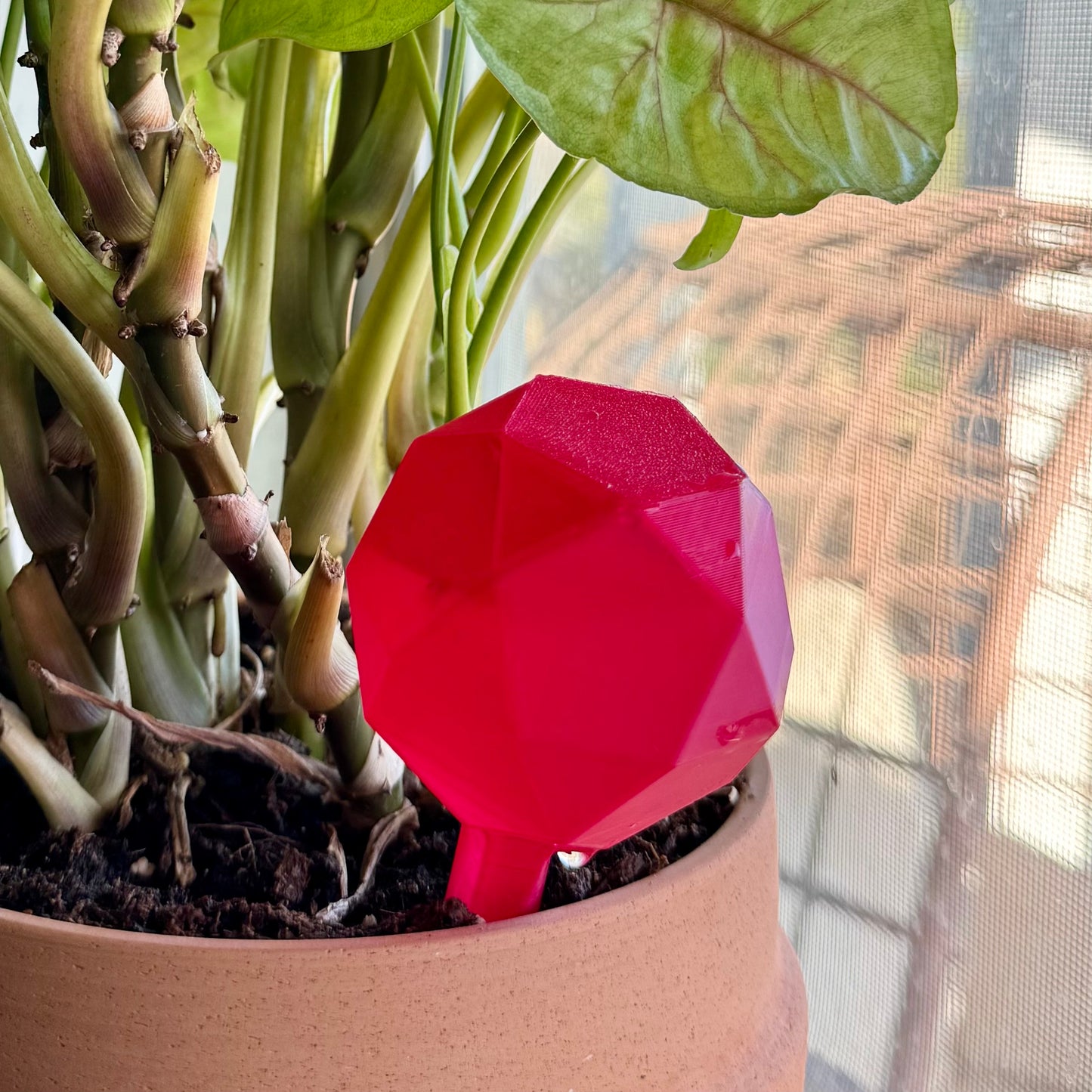 Geometric Plant Self-Watering Globe 🌿💧